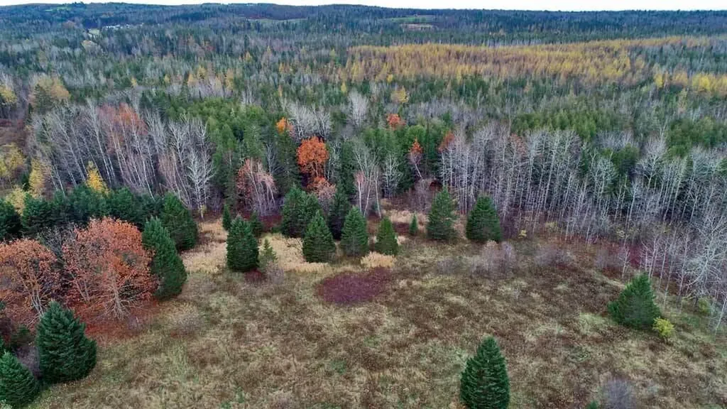 Lot 18 Us Route 2 Highway Sherman ME 04776
