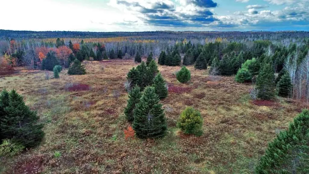 Lot 18 Us Route 2 Highway Sherman ME 04776