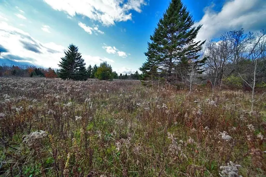 Lot 18 Us Route 2 Highway Sherman ME 04776