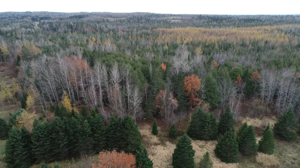 Lot 18 Us Route 2 Highway Sherman ME 04776