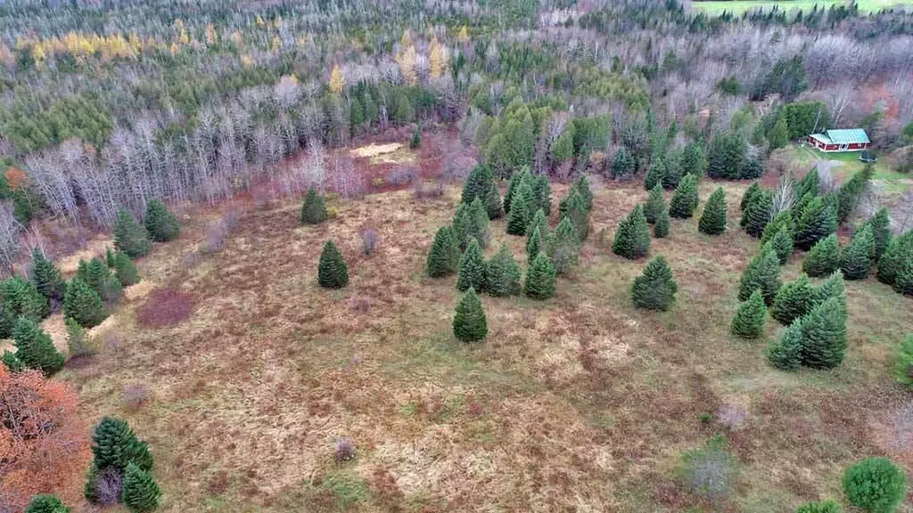 Lot 18 Us Route 2 Highway Sherman ME 04776