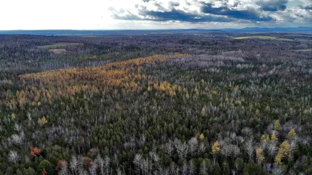 Lot 18 Us Route 2 Highway Sherman ME 04776