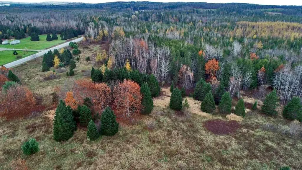 Lot 18 Us Route 2 Highway Sherman ME 04776