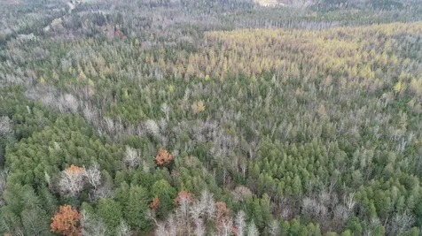 Lot 18 Us Route 2 Highway Sherman ME 04776