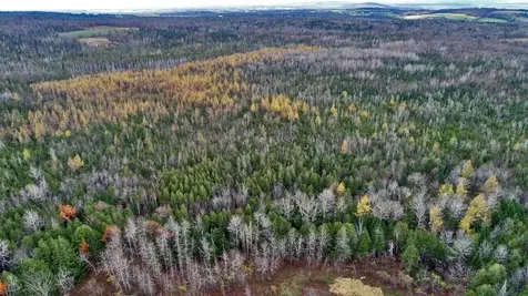 Lot 18 Us Route 2 Highway Sherman ME 04776
