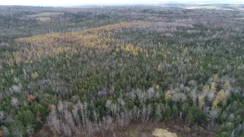 Lot 18 Us Route 2 Highway Sherman ME 04776