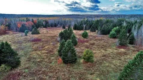 Lot 18 Us Route 2 Highway Sherman ME 04776