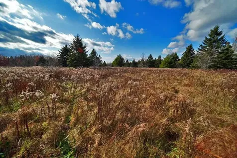 Lot 18 Us Route 2 Highway Sherman ME 04776