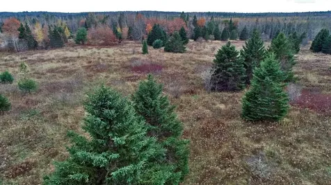Lot 18 Us Route 2 Highway Sherman ME 04776