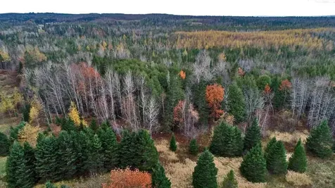 Lot 18 Us Route 2 Highway Sherman ME 04776