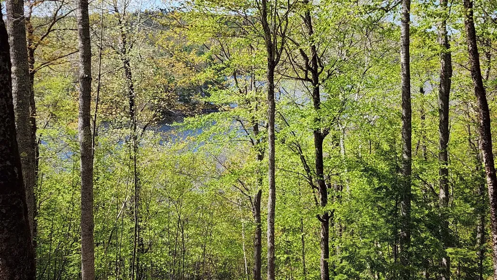 934 N River Road Greene ME 04236
