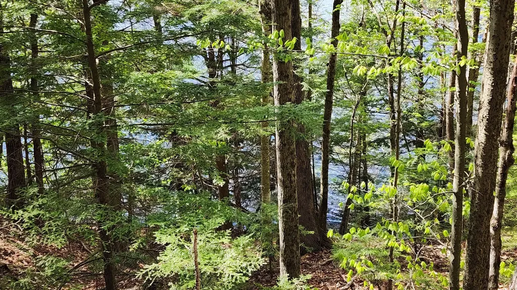 934 N River Road Greene ME 04236