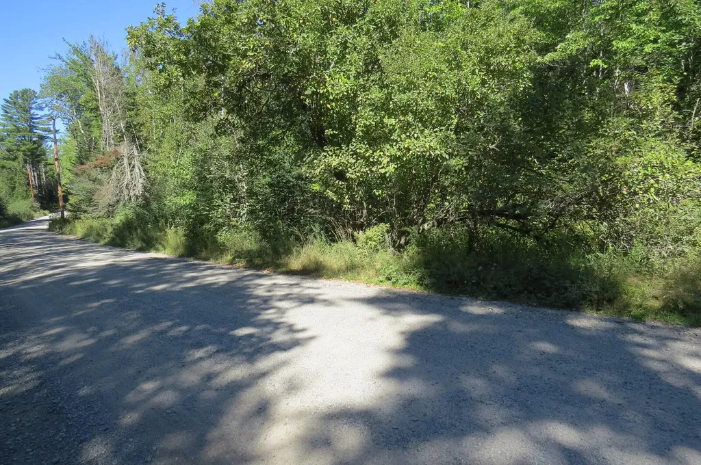 176 Morrison Farm Road Mariaville ME 04605