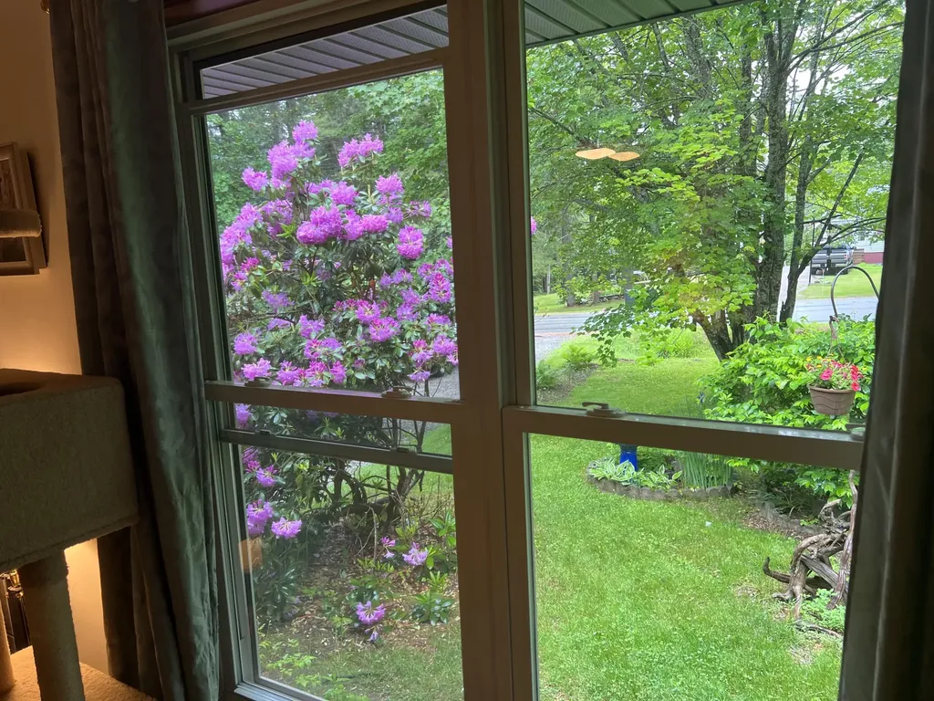 39 Pine Grove Avenue Glenburn ME 04401