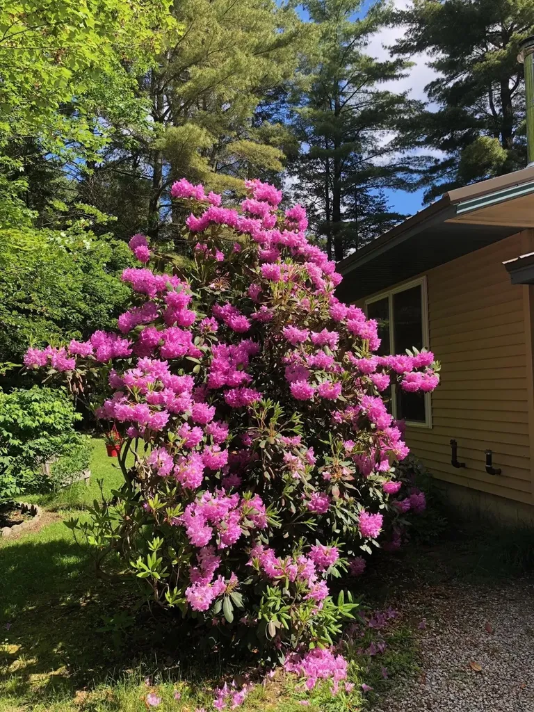 39 Pine Grove Avenue Glenburn ME 04401