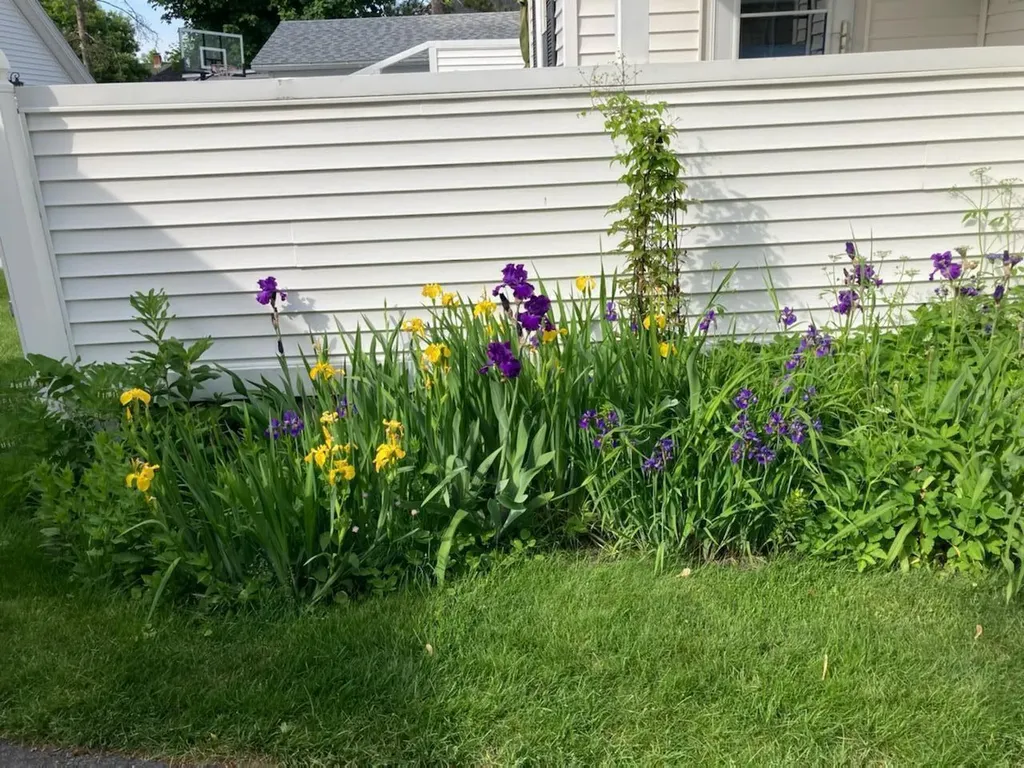 145 Webster Avenue Bangor ME 04401