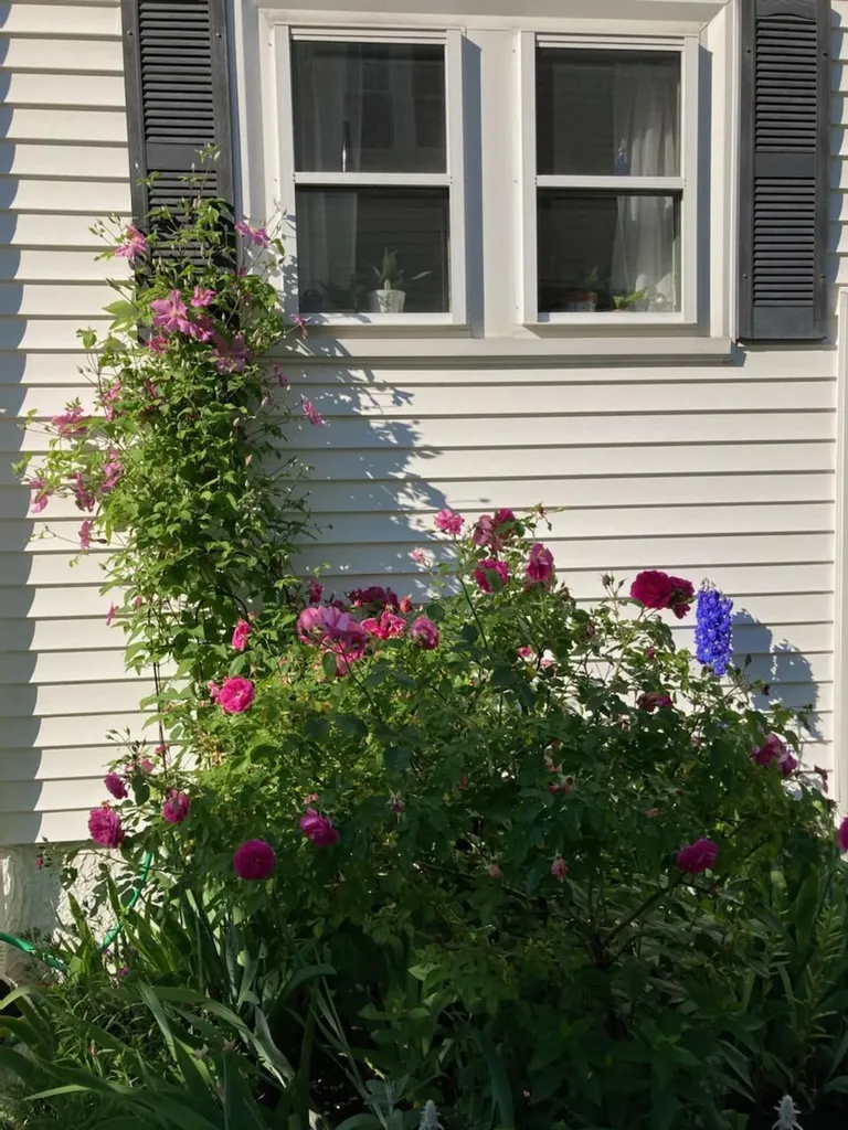 145 Webster Avenue Bangor ME 04401