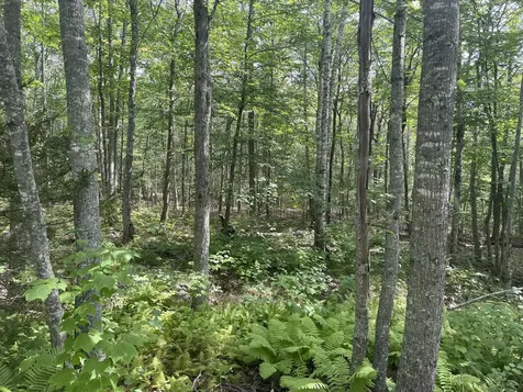 0 Bald Mountain Road Camden ME 04843