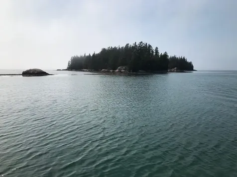 1 Hall Island Jonesport ME 04649