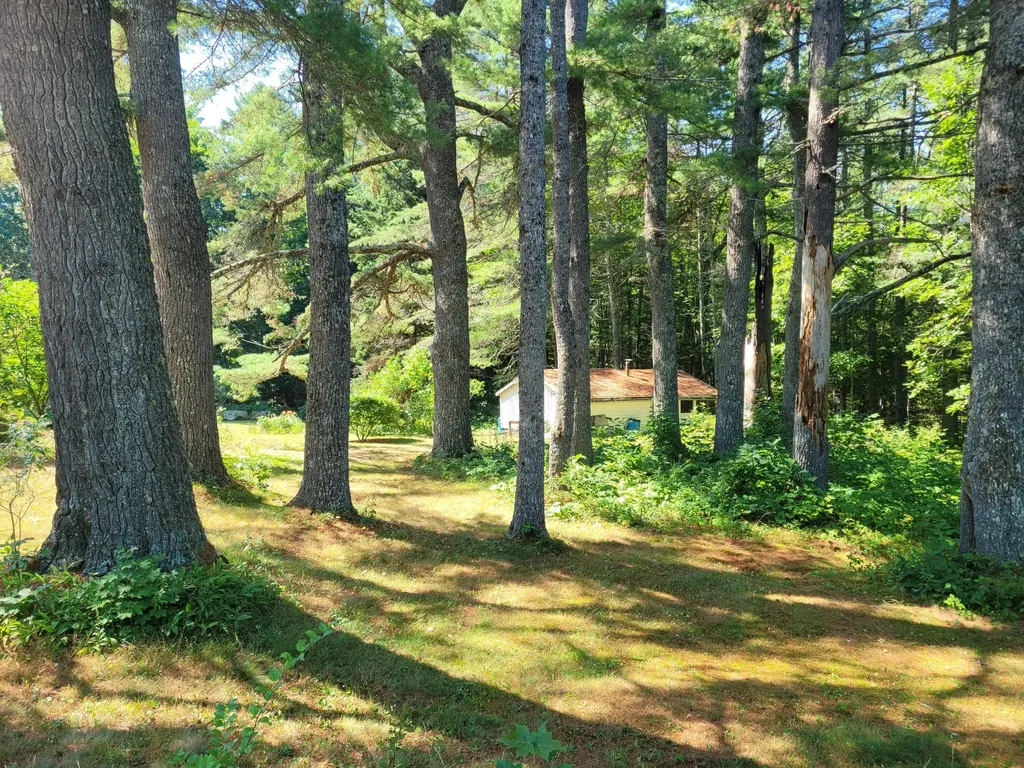 159 Hog Bay Road Franklin ME 04634
