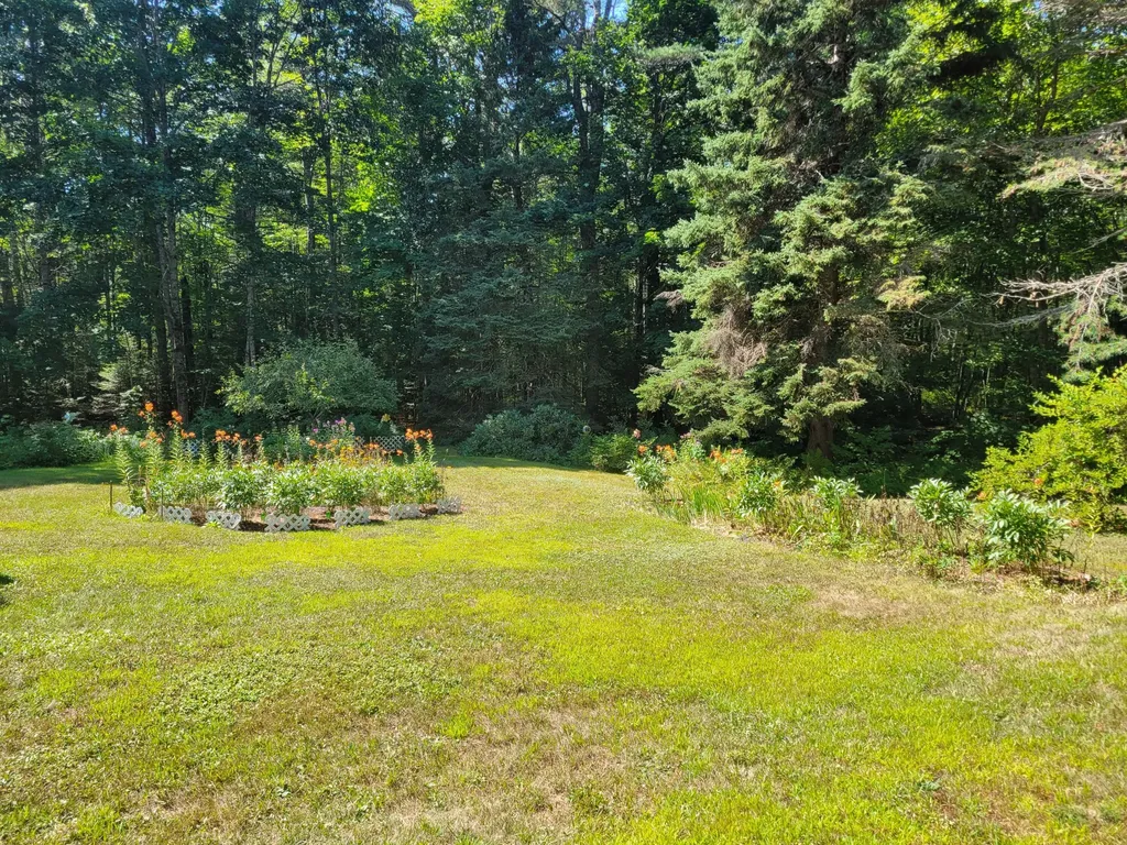 159 Hog Bay Road Franklin ME 04634