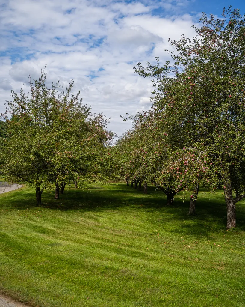 15 Orchard Drive Saint Albans ME 04971