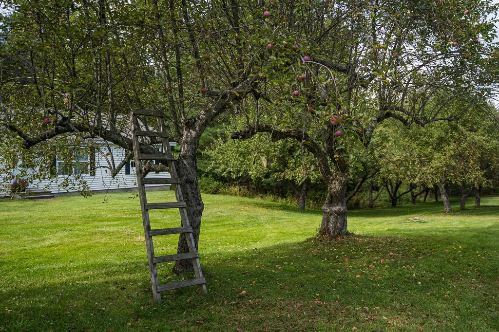 15 Orchard Drive Saint Albans ME 04971