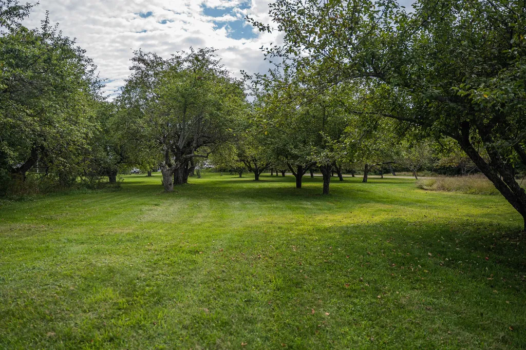 15 Orchard Drive Saint Albans ME 04971