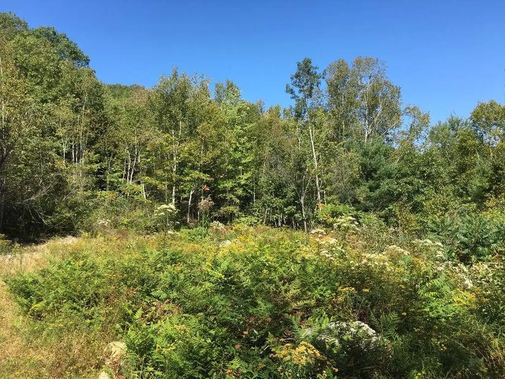 21 Lupine Lane Boothbay ME 04537