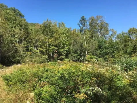 21 Lupine Lane Boothbay ME 04537