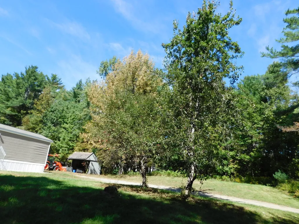 392 Brann Road Levant ME 04456