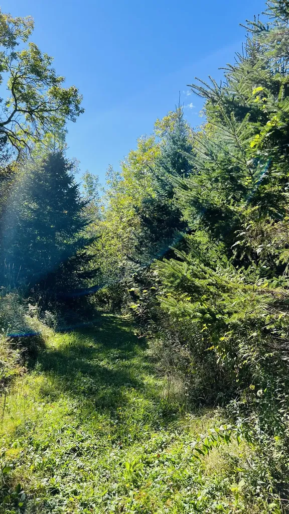 57 Oxbow Drive Glenburn ME 04401
