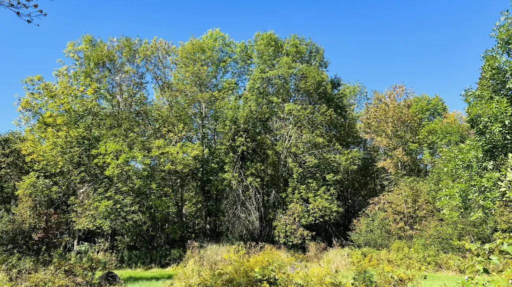 57 Oxbow Drive Glenburn ME 04401