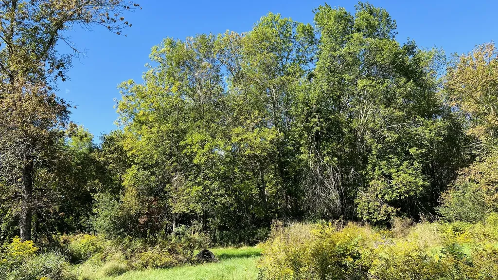 57 Oxbow Drive Glenburn ME 04401