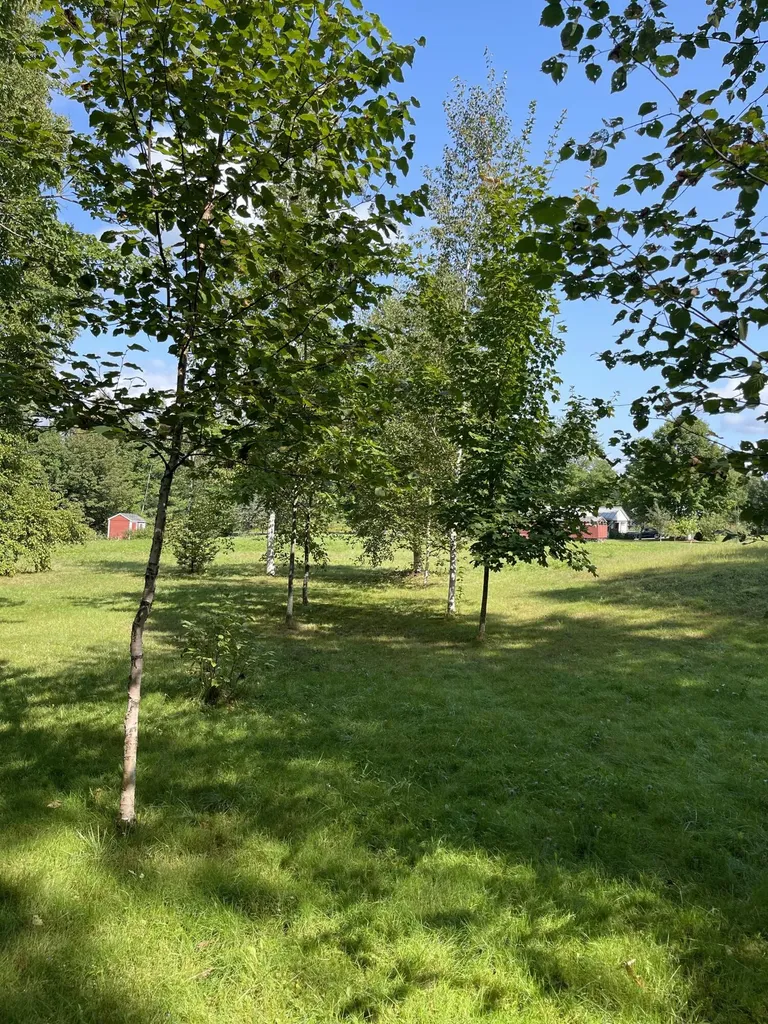 19 Foster Lane Belgrade ME 04917