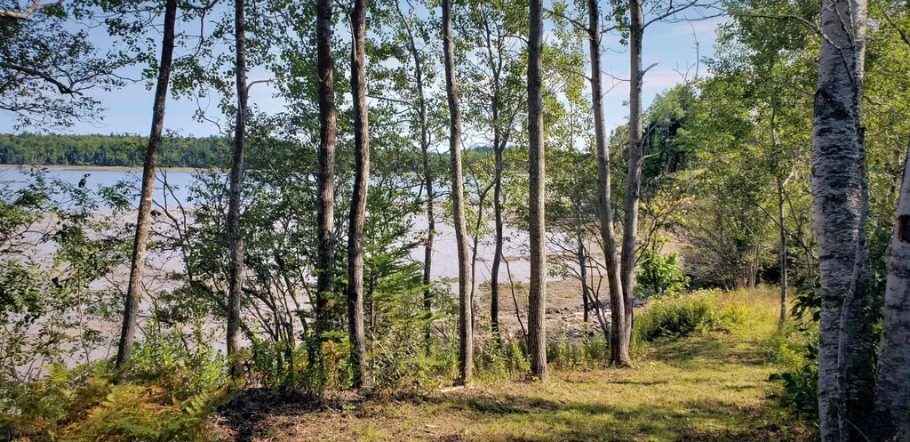 240 West Kennebec Road Machias ME 04654
