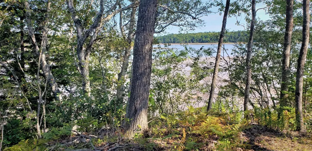 240 West Kennebec Road Machias ME 04654