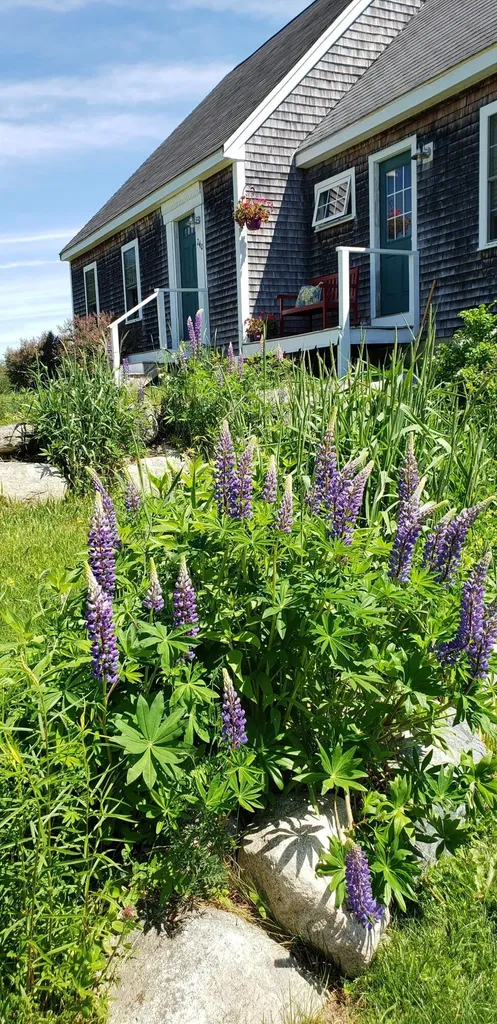 240 West Kennebec Road Machias ME 04654