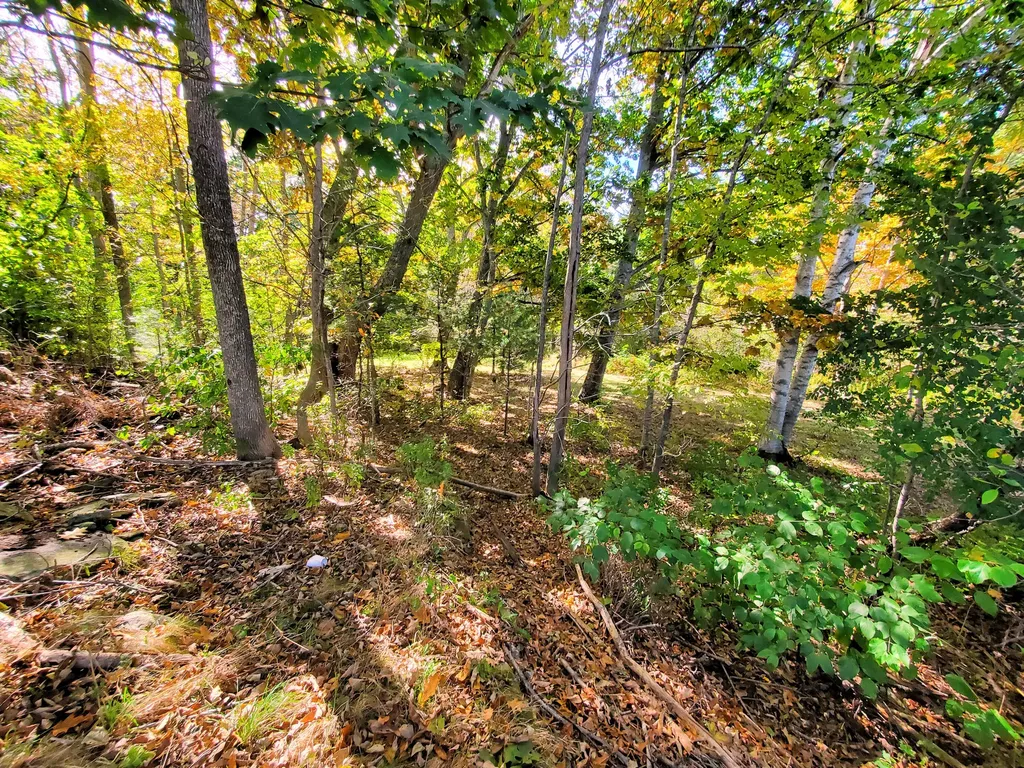 486 River Road Bucksport ME 04416