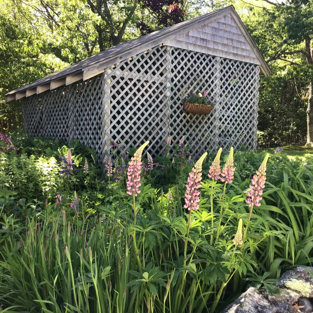 45 West Franklin Road Franklin ME 04634