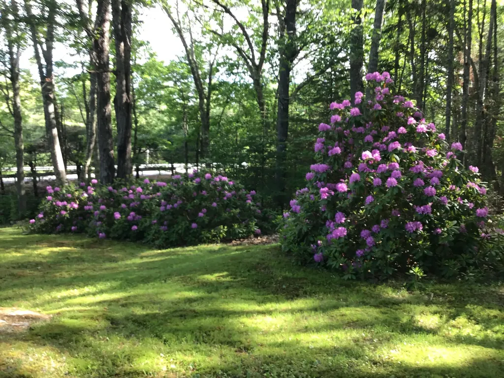 45 West Franklin Road Franklin ME 04634