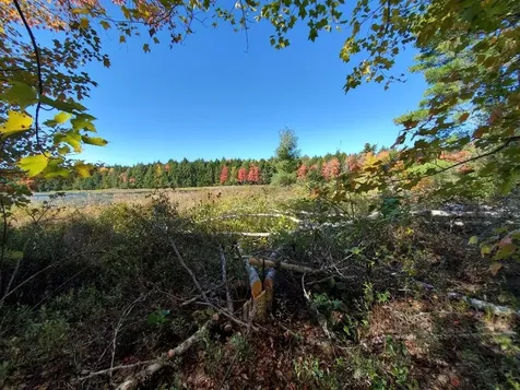 0 Clifford Lake Road Greenlaw Chopping Twp ME 04668