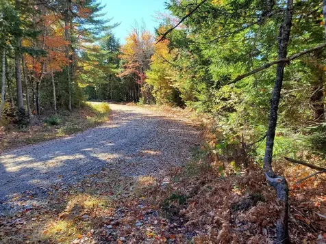 0 Clifford Lake Road Greenlaw Chopping Twp ME 04668