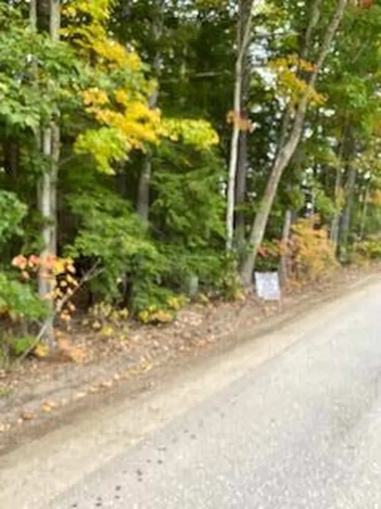 Lot # Dyer Road Dayton ME 04005