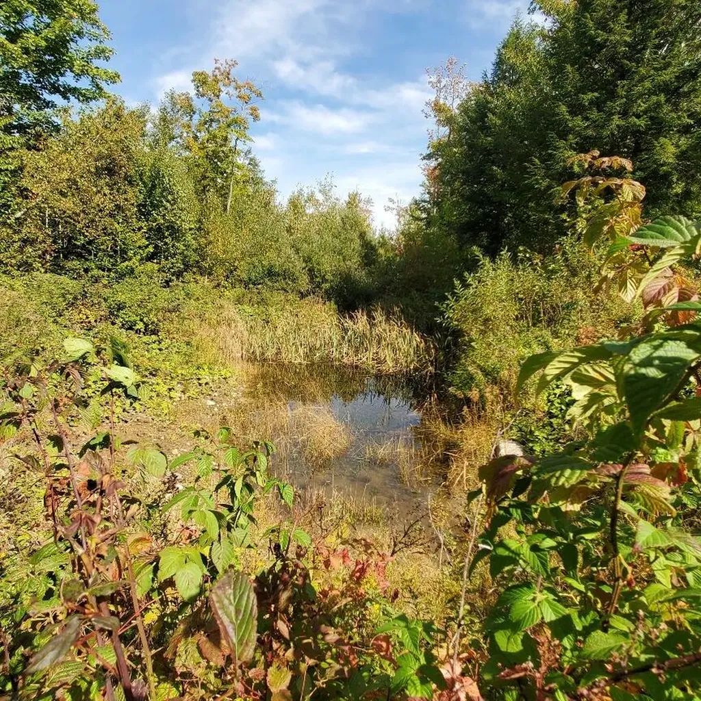 158 Kincaid Road Madison ME 04950