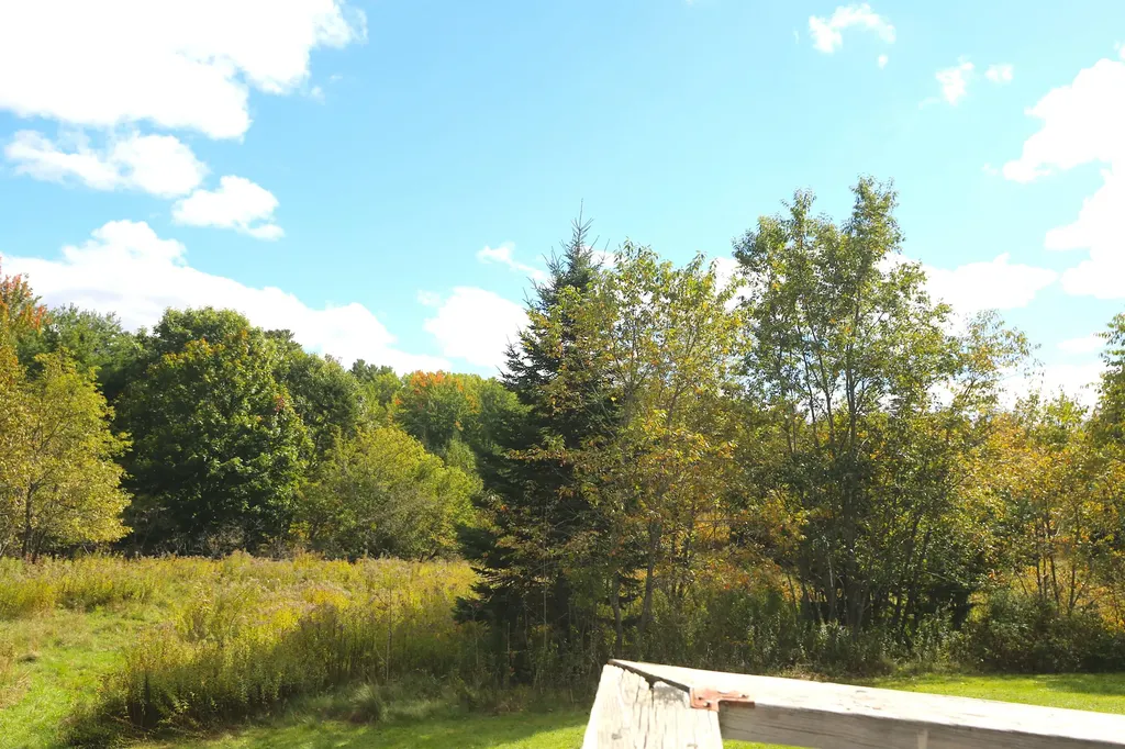 98 Milbridge Road Cherryfield ME 04622