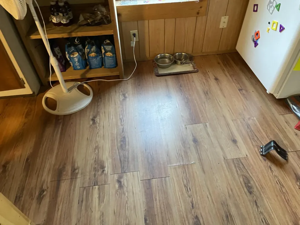 53 Roberts Way Mariaville ME 04605