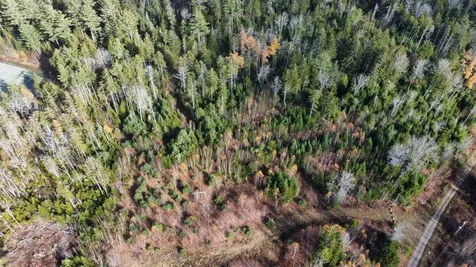 Lot 24 Lichen Glen Cushing ME 04563
