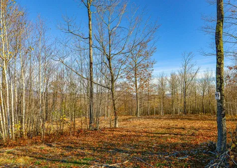 Lot 11 Mine Road Stoneham ME 04231