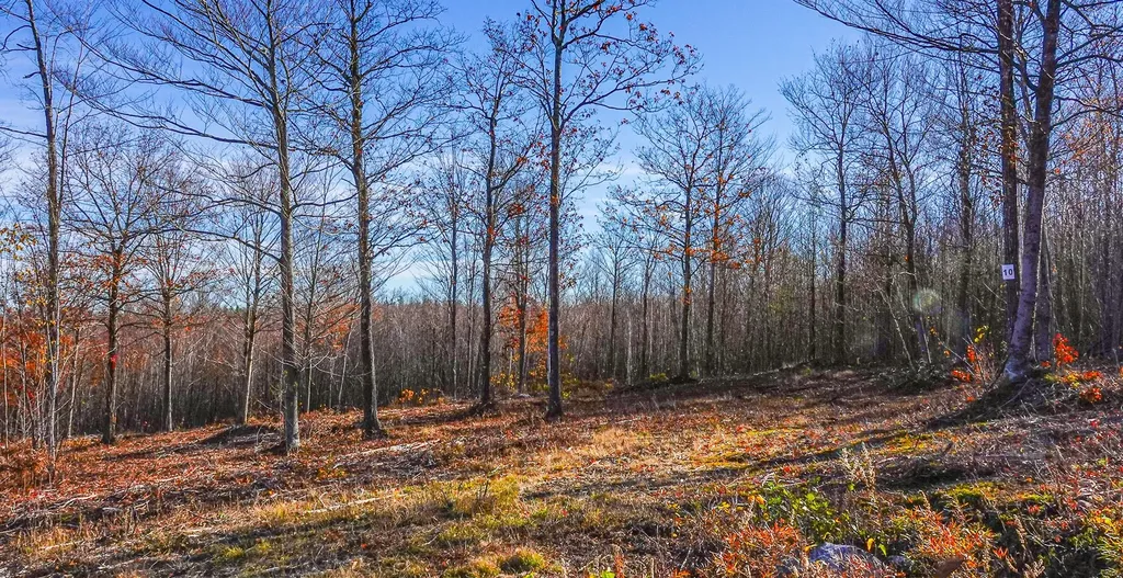 Lot 10 Mine Road Stoneham ME 04231